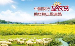 中国银行益农贷个人涉农贷款条件利率及流程2021